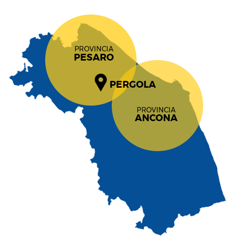autospurgo provincia Pesaro Ancona
